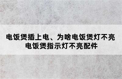 电饭煲插上电、为啥电饭煲灯不亮 电饭煲指示灯不亮配件